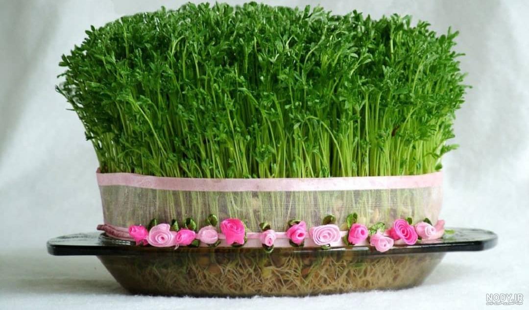 گندم زار زیبا و دلنشین - والپیپر و بک گراند گندم زار زیبا و دلنشین - والپیپر و بک گراند