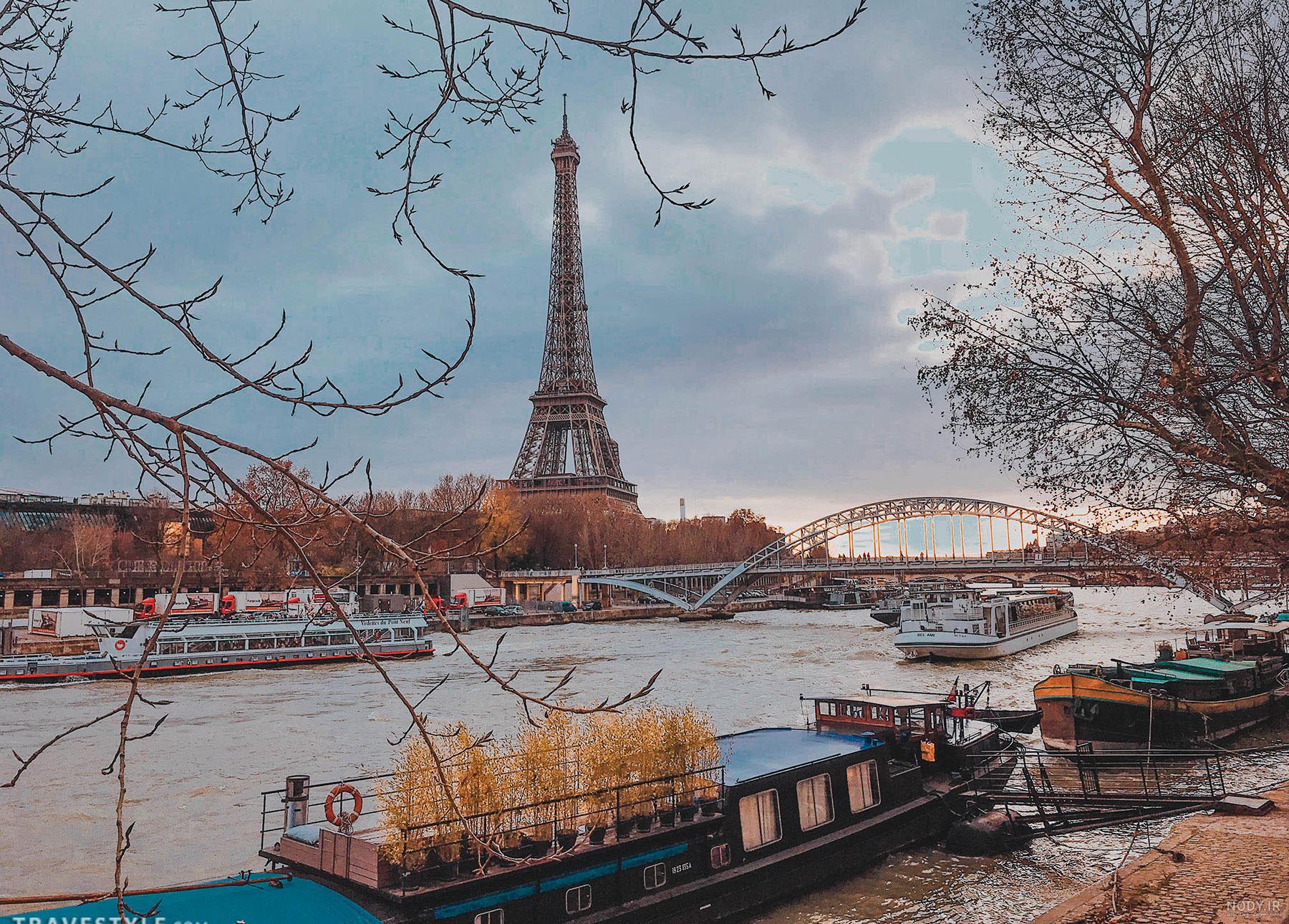 درخت کریسمس دست دوم