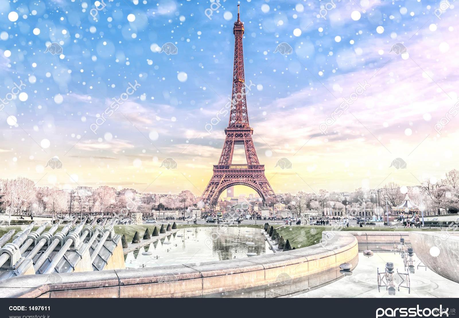 درخت کریسمس دست دوم