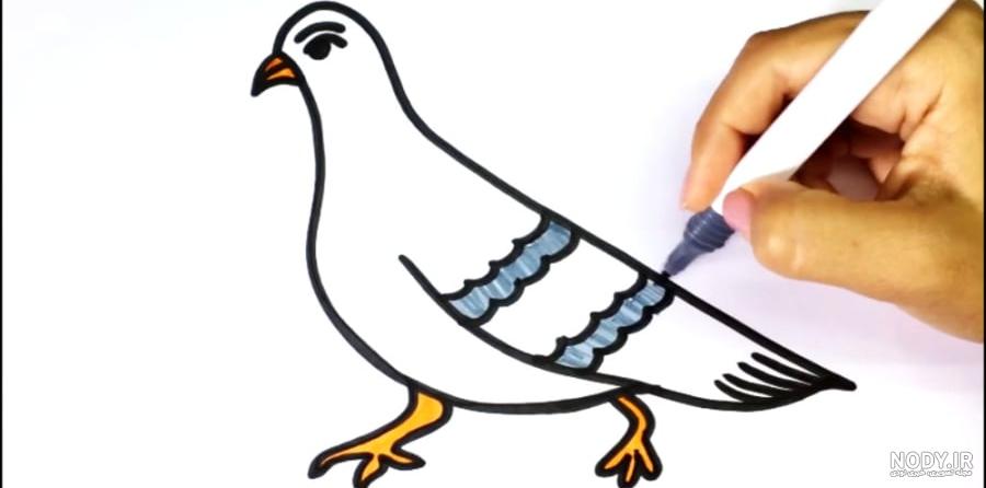 45+ آموزش نقاشی کبوتر در حال پرواز مرحله به مرحله 🕊 + ویدئو