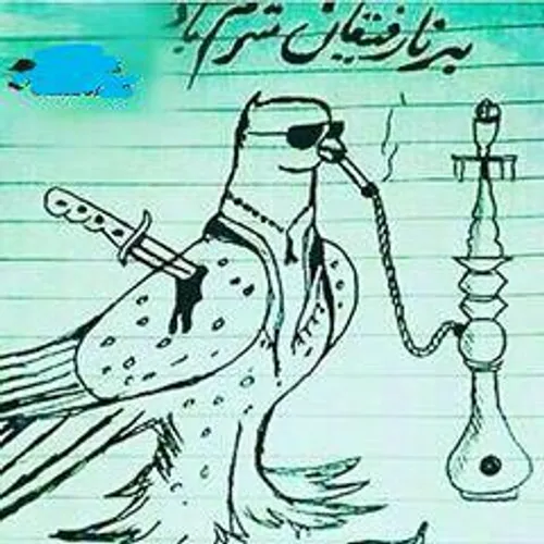 آموزش مرحله به مرحله نقاشی کبوتر همراه با کاربرگ رنگ آمیزی-مام پلاس