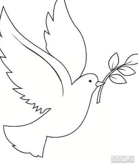 عکس نقاشی کبوتر