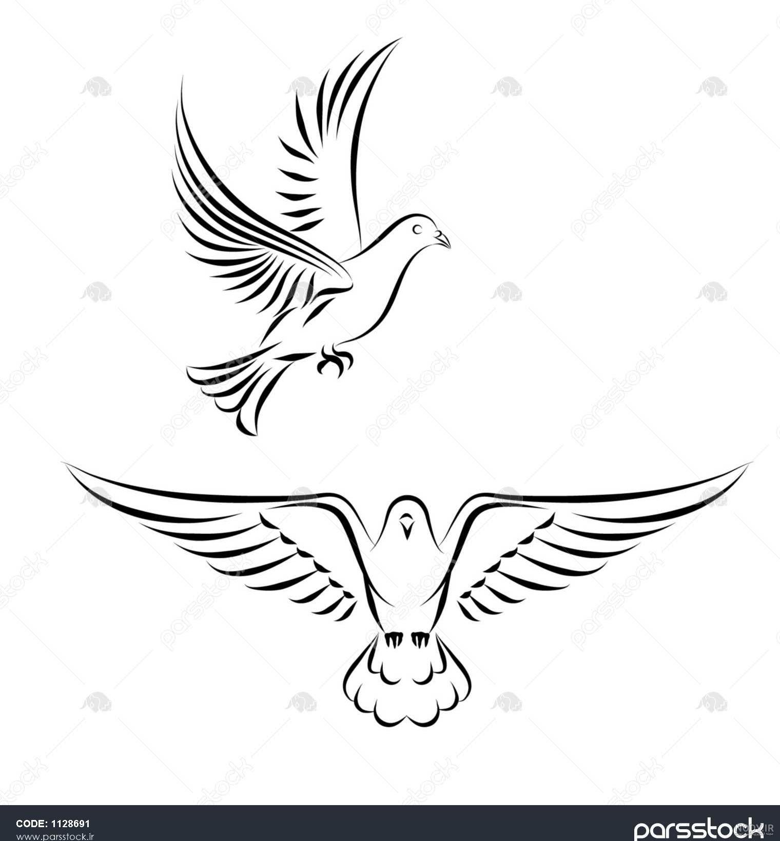 عکس نقاشی کبوتر حرم