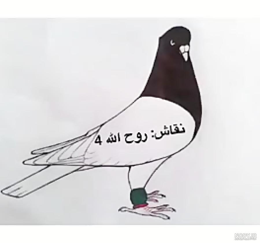 عکس نقاشی کبوتر کودکانه