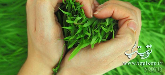 عکس‌ های پروفایل رنگ سبز برای افراد آرام و صلح طلب