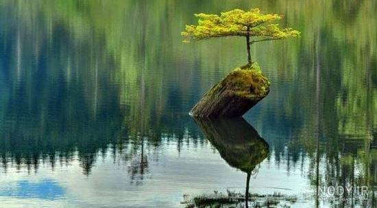گالری عکس مناظر طبیعی و فوق العاده زیبای سراسر جهان