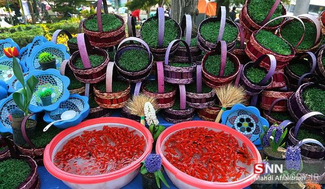 55 عکس فانتزی و جذاب سبزه عید نوروز 55 عکس فانتزی و جذاب سبزه عید نوروز