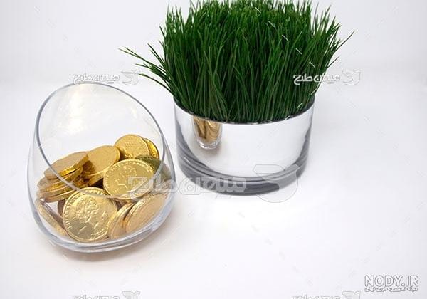 40 مدل عکس سبزه عید نوروز برای سفره هفت سین سال 1400 40 مدل عکس سبزه عید نوروز برای سفره هفت سین سال 1400