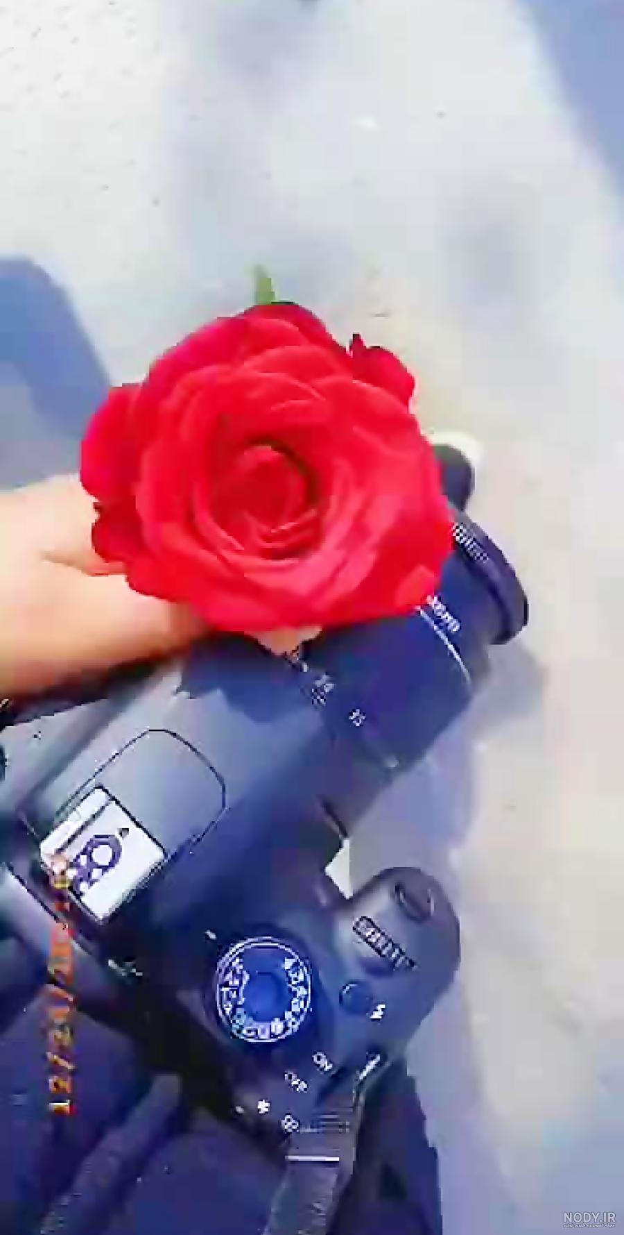 استوری فیک
