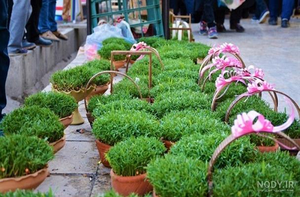 تصاویر/ بازار گل و سبزه در آستانه عید تصاویر/ بازار گل و سبزه در آستانه عید