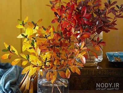 تغییر دکور پاییزی خانه با ایده های فوق العاده شیک و خلاقانه و ارزان تغییر دکور پاییزی خانه با ایده های فوق العاده شیک و خلاقانه و ارزان