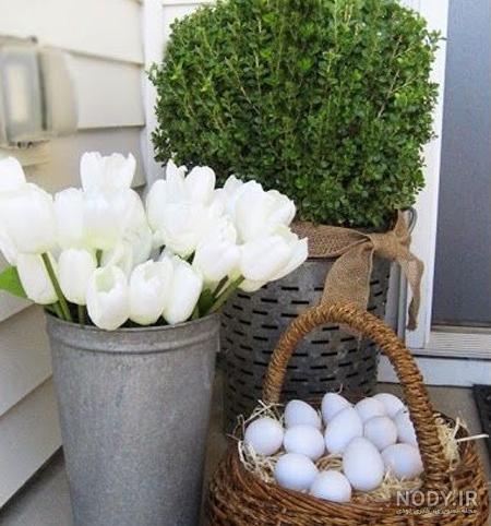 روش کاشت سبزه شناور در آب برای عید + فیلم