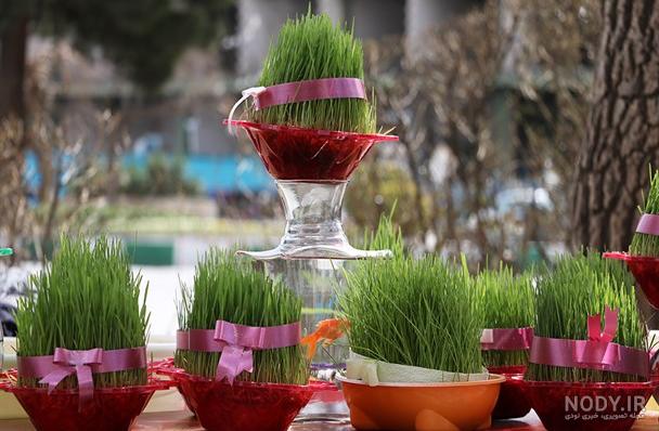 عکس سبزه و ماهی عید عکس سبزه و ماهی عید