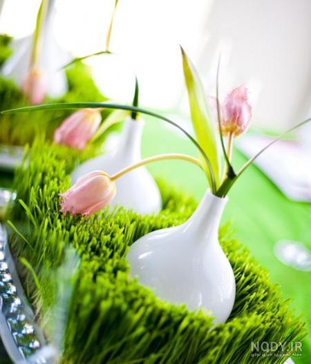 عکس سبزه هفت سین جدید