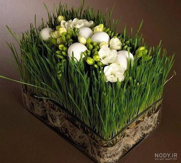 عکس ماهی قرمز و سبزه عکس ماهی قرمز و سبزه