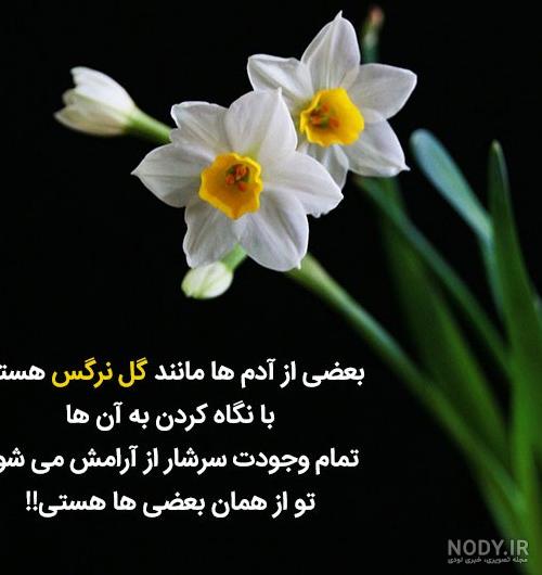 عکس متن تنفر از عشق