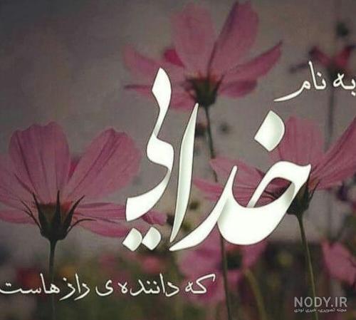 مجموعه عکس های زیبا و طنز (جدید)