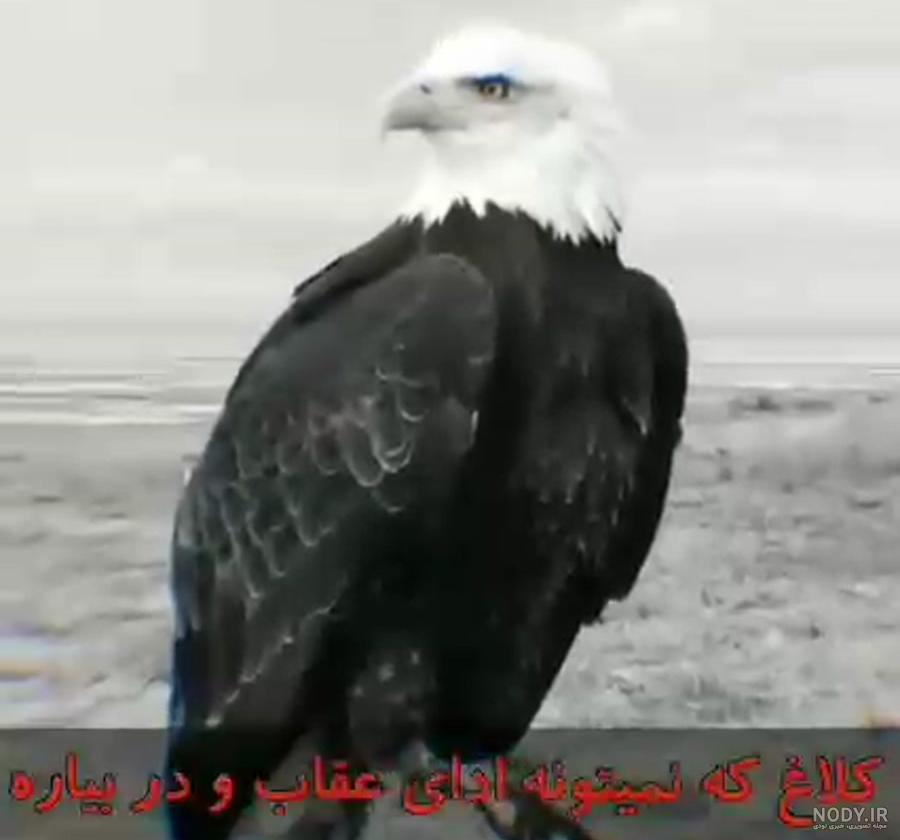 مجموعه عکس نوشته لاتی خدا (جدید) مجموعه عکس نوشته لاتی خدا (جدید)