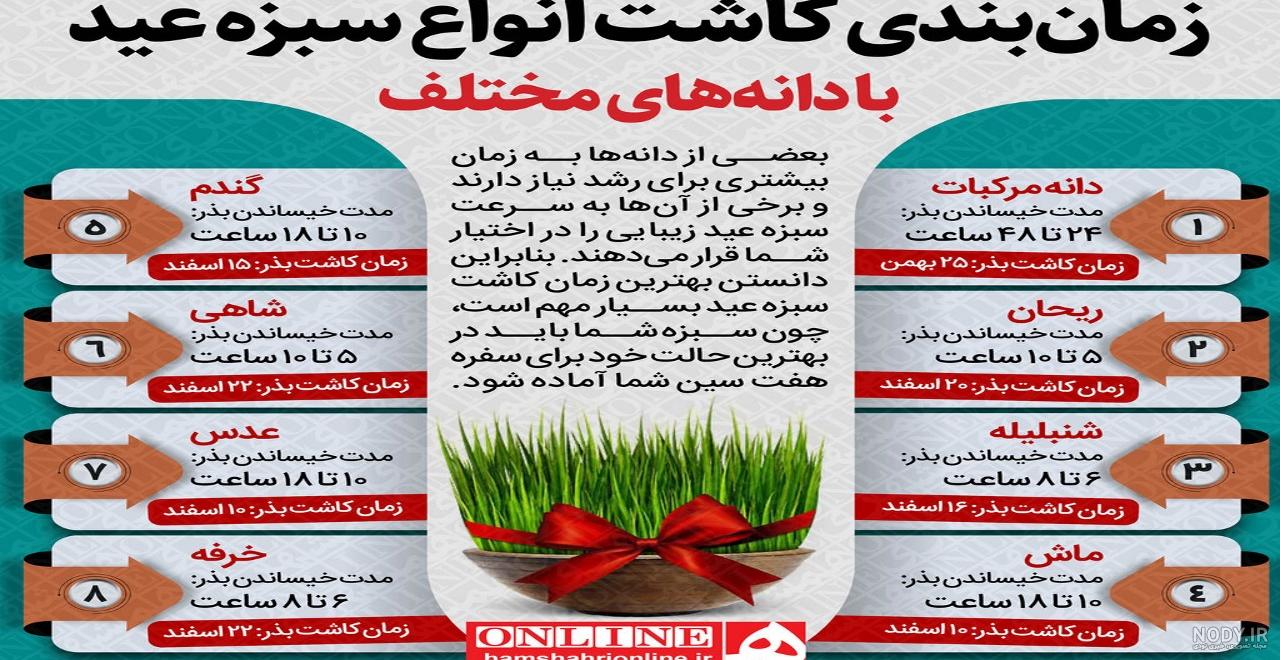 کاشت سبزه شناور در آب برای عید نوروز • مجله تصویر زندگی