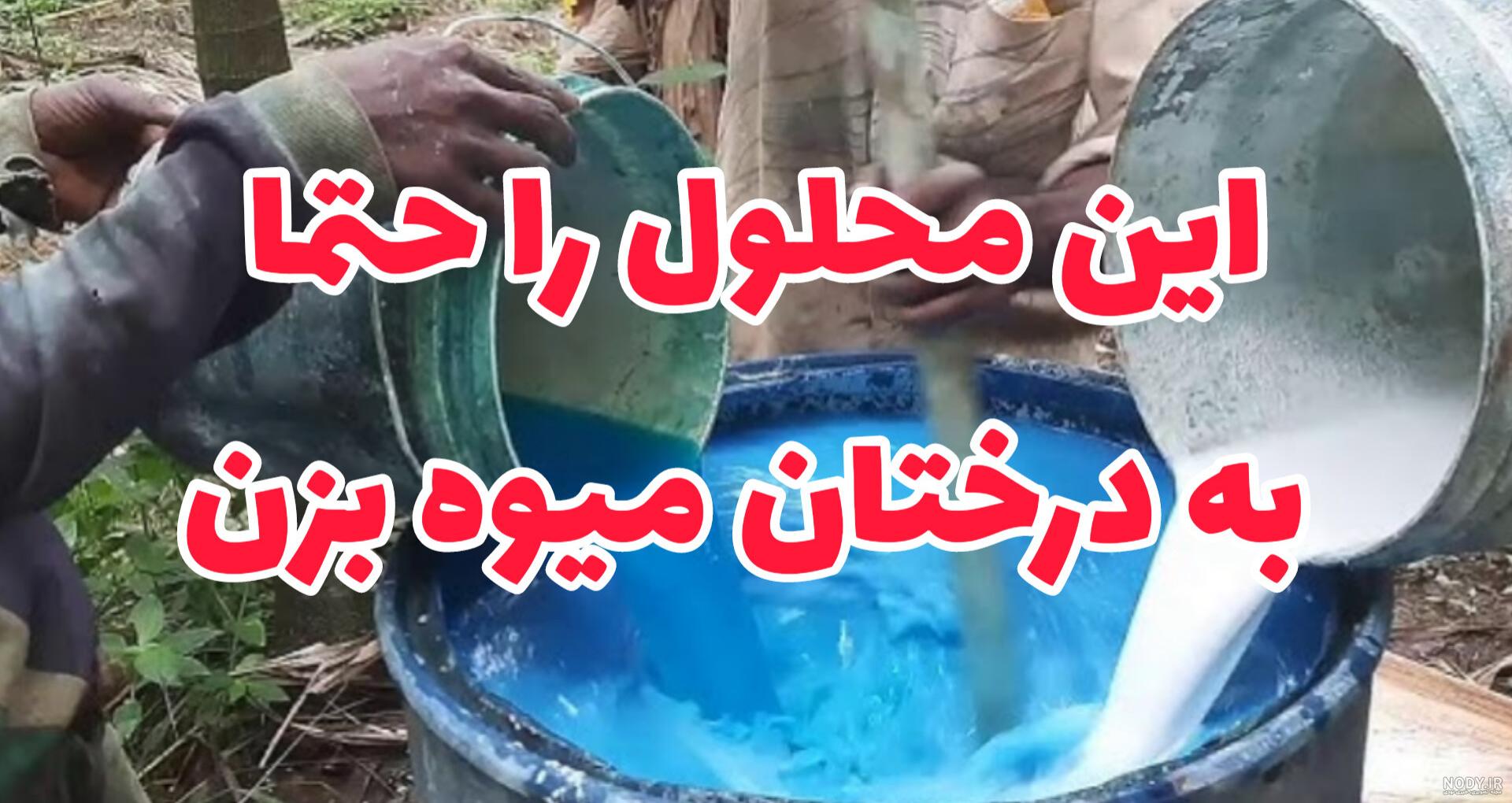 130 مدل سبزه عید 1403 برای عروس جدید و شیک با آموزش کاشت