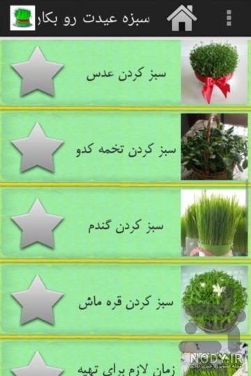آموزش اصولی و دقیق کاشت سبزه ماش به ۴ روش در خانه - ستاره