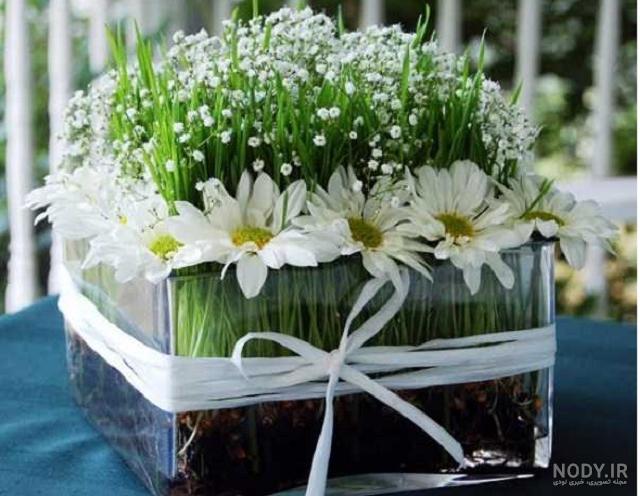 آموزش سبزه گندم برای سفره هفت سین و عید نوروز