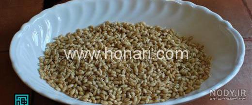 آموزش کاشت سبزه گندم برای عید/ سفره هفت سین