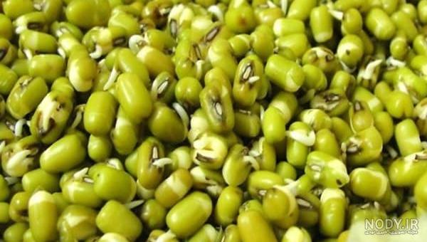 سبزه عيد با ماش - سرزده