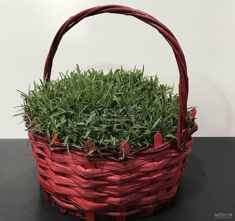 سبزه ماش برای سفره هفت سین