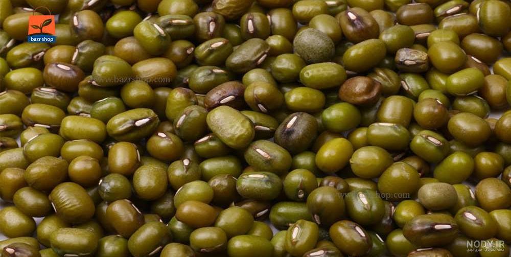 سبزه ماش فوری چند روزه سبز میشه؟ + آموزش سبزه عید