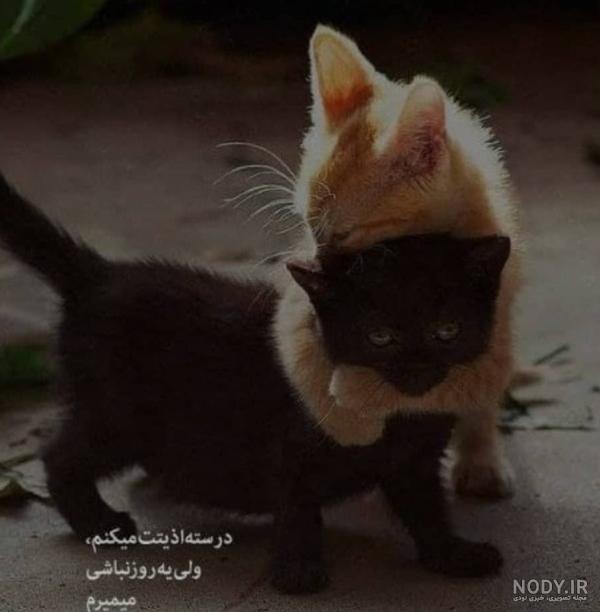 شکلات تلخ♥ | صفحه 2 | مادران