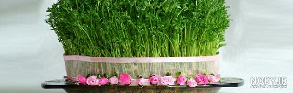 طرز تهیه سبزه قره ماش برای عید نوروز - ژولی پولی