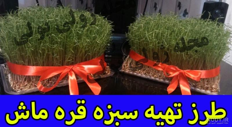طرز تهیه سبزه ماش برای عید نوروز (آموزش کامل)