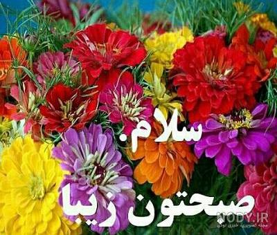 عکس نوشته سلام صبح بخیر متحرک ❤️ [ بهترین تصاویر ]