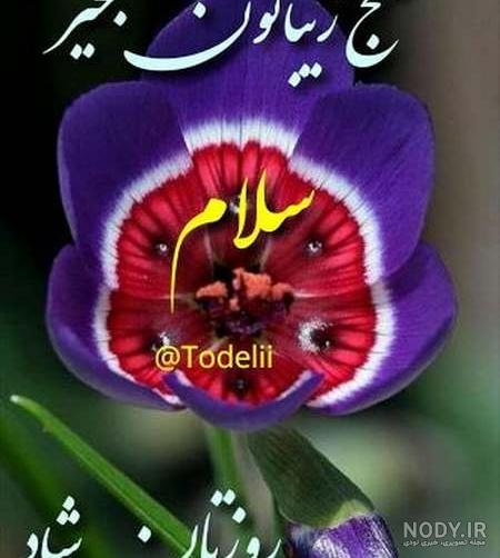 عکس نوشته ی سلام و صبح بخیر گفتن (آلبوم تصاویر) - تــــــــوپ ...