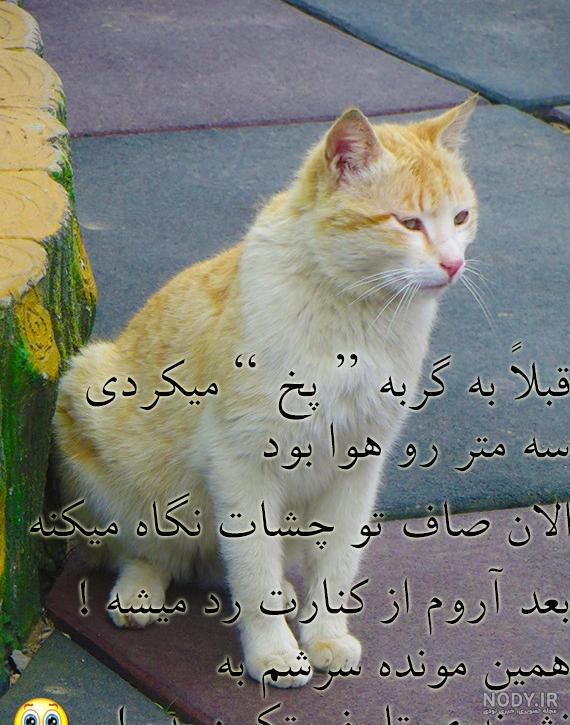 عکس پروفایل غمگین با متن سنگین کوتاه | پیکوپیکس