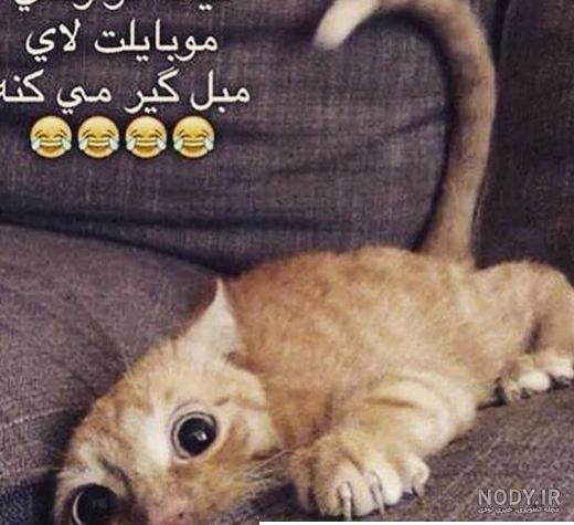 عکس پروفایل غمگین من نتونستم یا واقعا نمی شد | پروفایل گرام