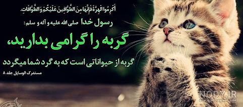 عکس پروفایل گربه غمگین