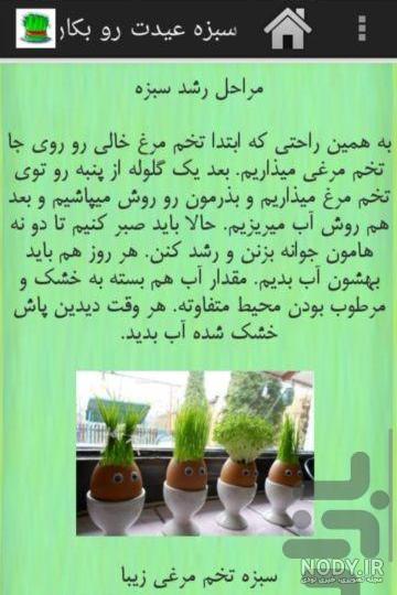 عکس کاشت کنجد - عکس نودی