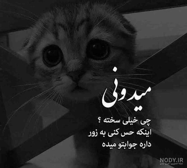 مجموعه عکس پروفایل غمگین - مجله نورگرام