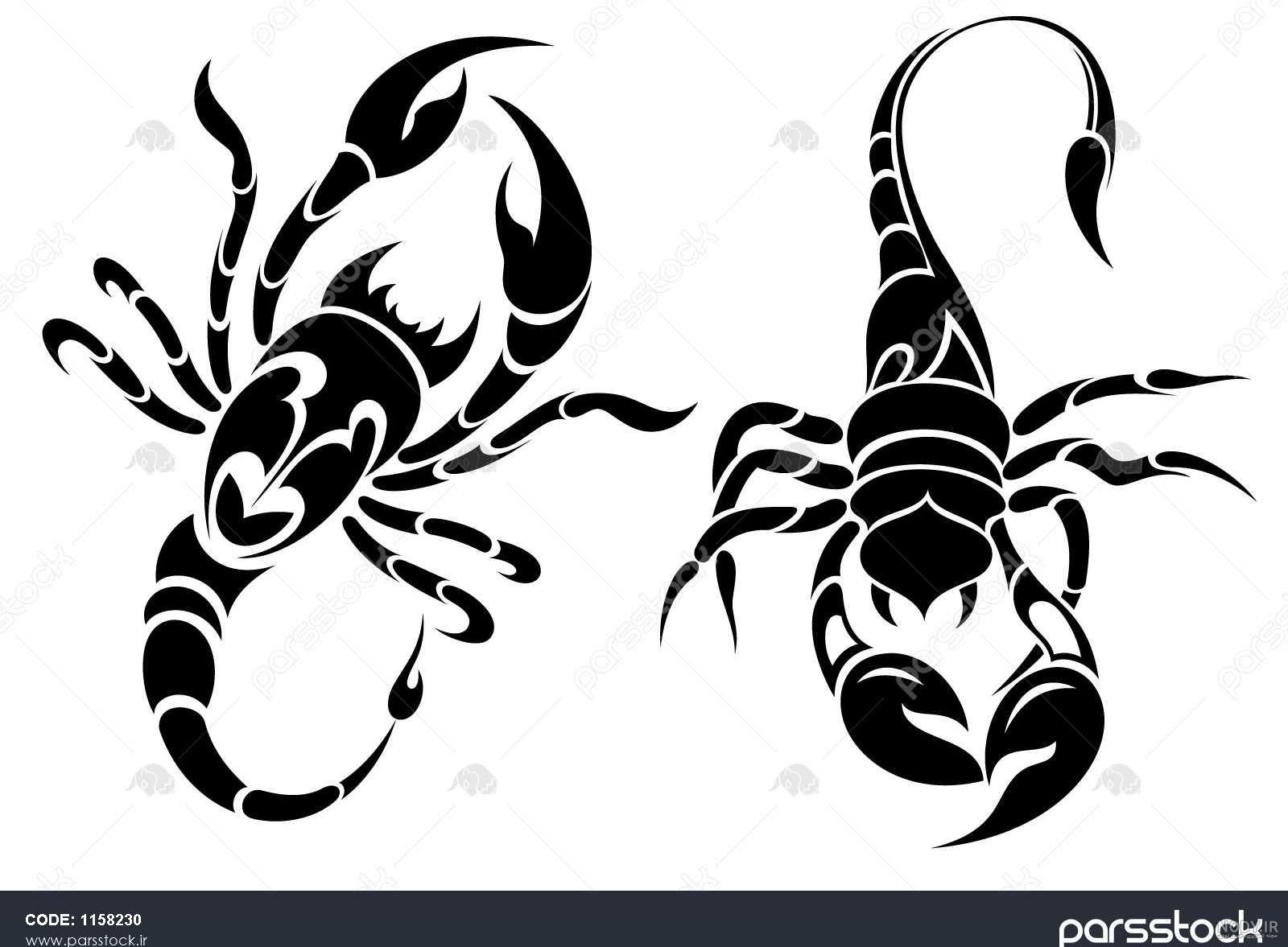 آموزش نقاشی عقرب - نقاشیار آموزش نقاشی عقرب - نقاشیار