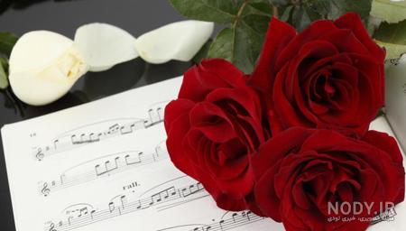 عکس دسته گل تولد ❤️ [ بهترین تصاویر ]