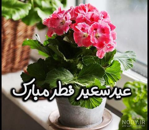 عکس عید فطر مبارک معلم عزیزم عکس عید فطر مبارک معلم عزیزم