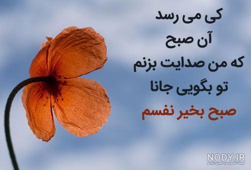عکس نوشته ترکی استانبولی با ترجمه فارسی | صفحه 2 | انجمن رمان ...