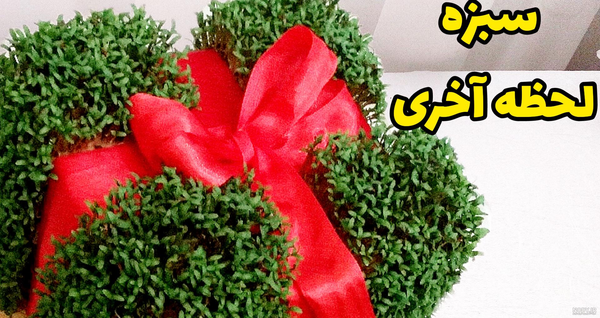 آموزش سبزه با خاکشیر به شکل کلاه - آموزشی نوروز 1400