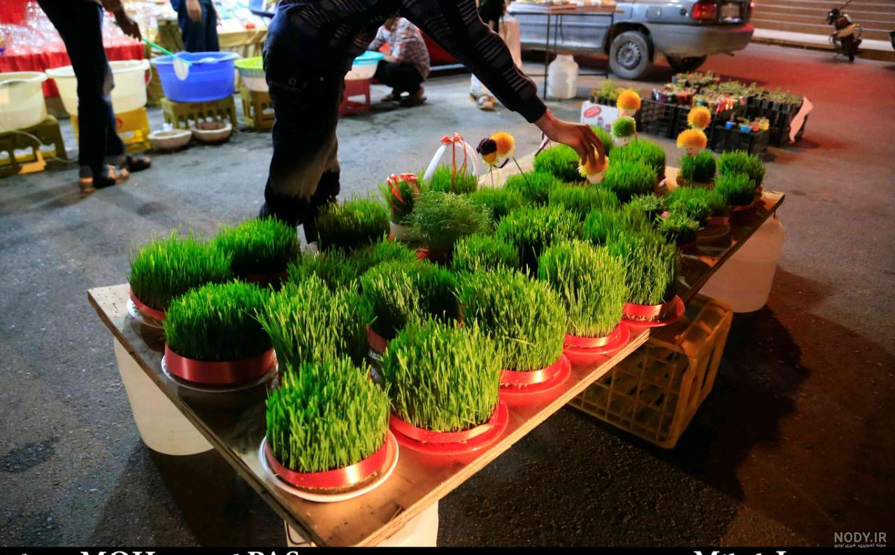 عکس سبزه فروشی