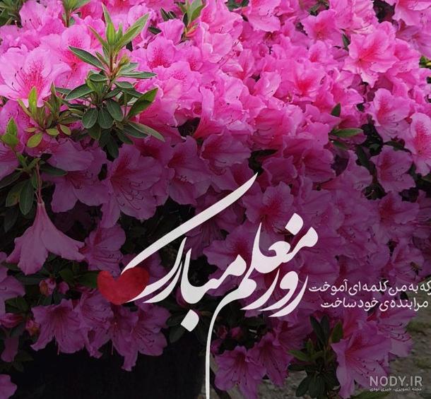 عکس نوشته تبریک روز معلم به استاد دانشگاه - عکس نودی