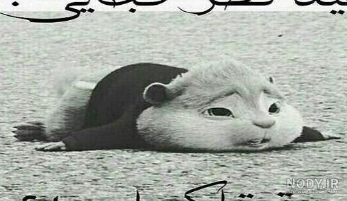عکس نوشته های خنده دار عید فطر