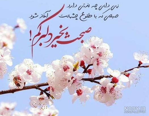 عکس نوشته های دلبرانه عاشقانه