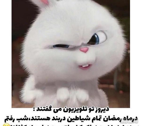 پیامک طنز تبریک عید فطر · پورتال خبری فرهنگی گهر